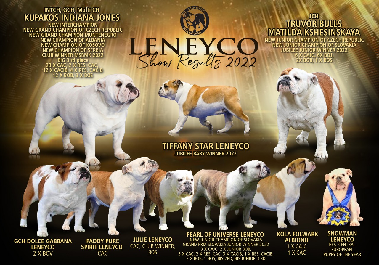 Leneyco bulldog show results 2022